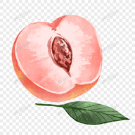 WWW,se928·COM网站APPAPP应用